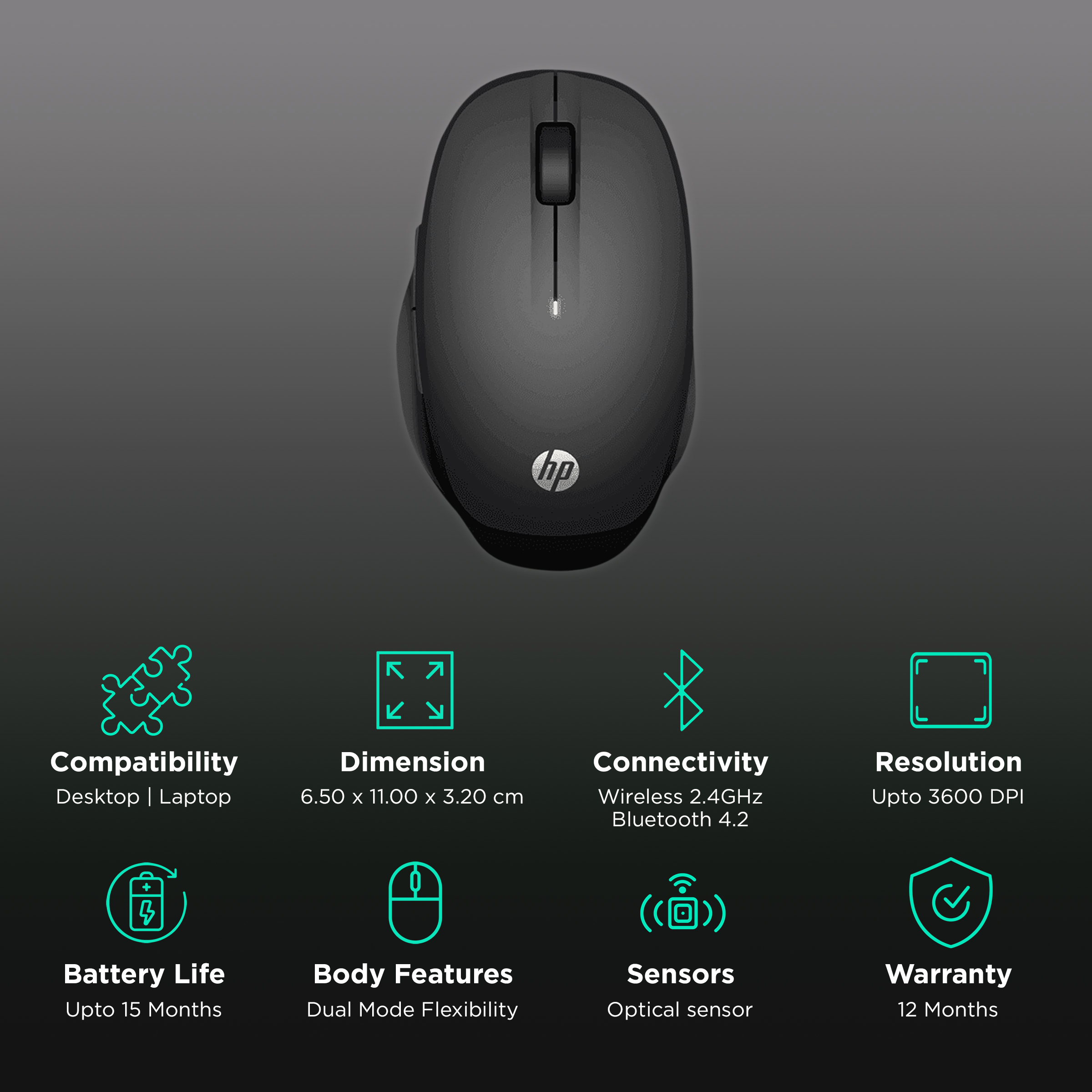 Mouse hp 2024 300